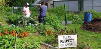 Lisa Lane Farm