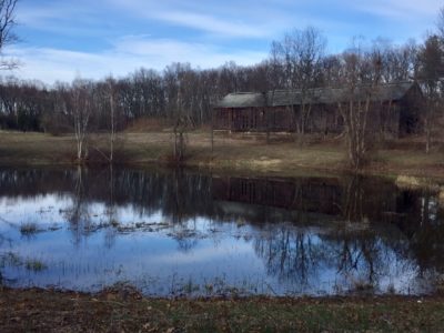 Thrall Farm