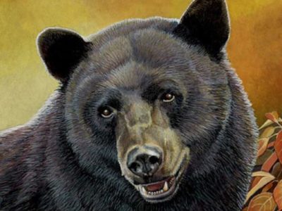 Bear Presentation & Annual Meeting