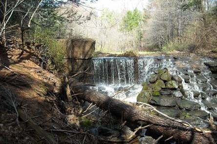 Van Otterloo Cascade