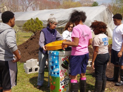 Community Gardens at Lisa Lane Farm