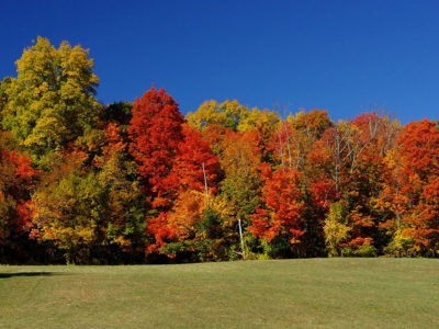 Autumn at Stout Family Fields.