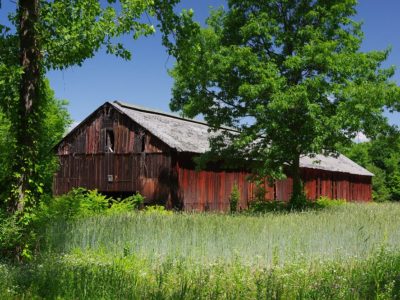 Thrall Farm Tobacco Shed