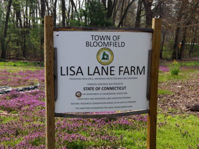 Lisa Lane Farm