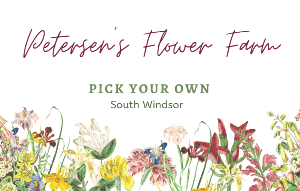 Petersen's Flower Farm pick your own in South Windsor
