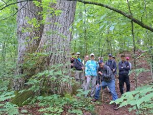 A group of hikers in a forest