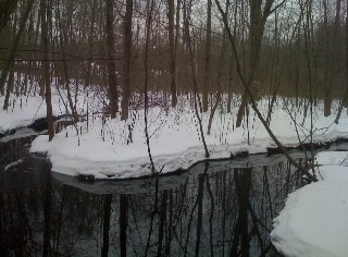 Pond Meadow in Winter